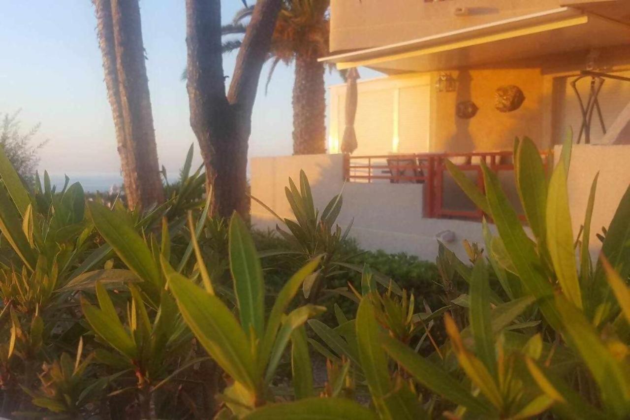 Frente al mar Ver amanecer Dehesa de Campoamor  Eksteriør billede